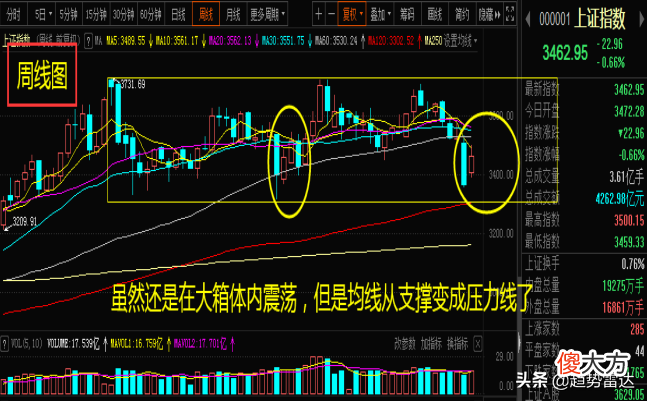 黑天鹅又来了 又见黑天鹅