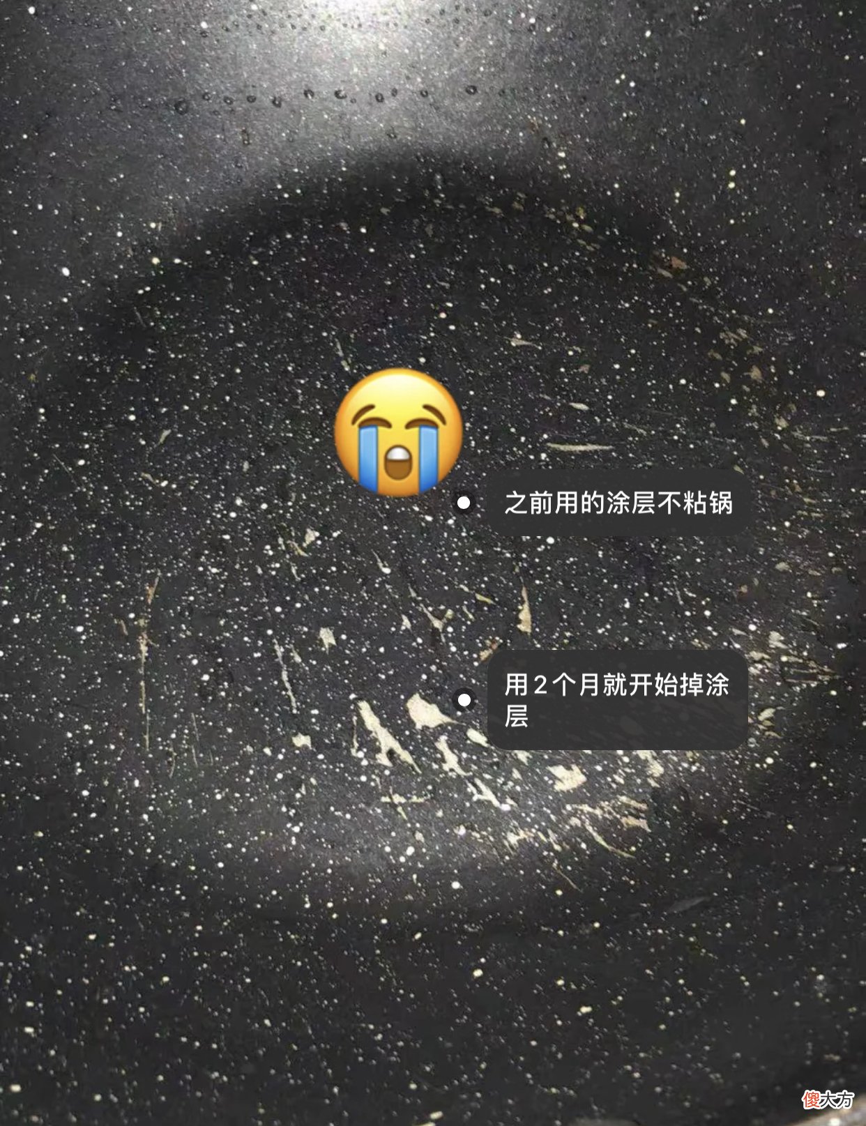 是因为有毒吗 居然有毒吗