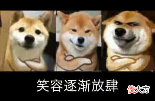1000元预算买苹果笔记本 6000左右预算买苹果笔记本
