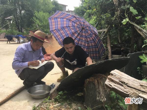碑铭中的历史 碑的历史文化