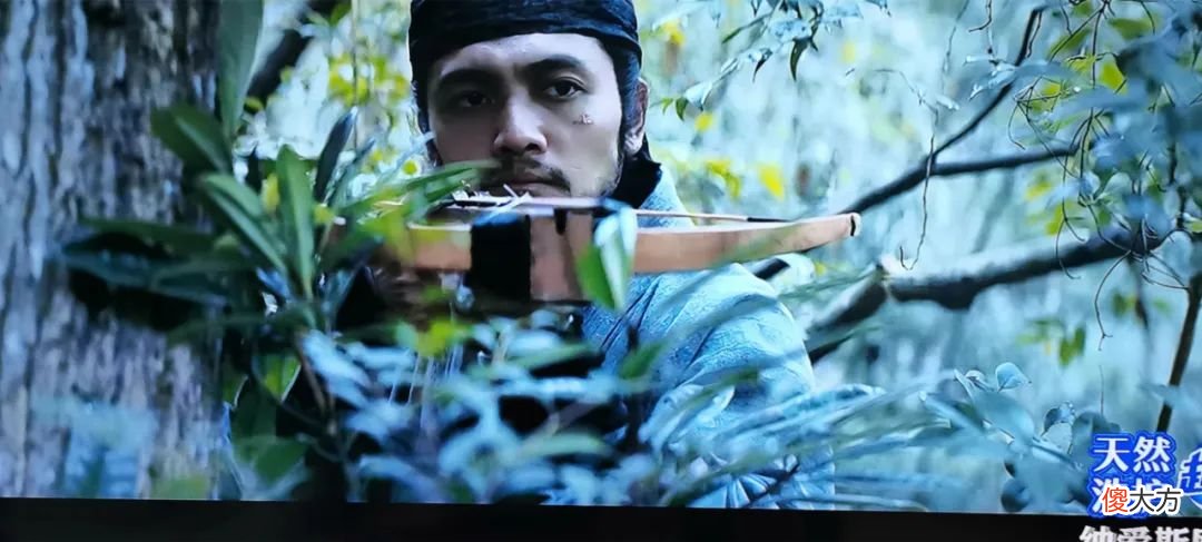 【历史故事】《风起陇西》结局陈恭被斩，罪在荀诩还是杨仪？诸葛亮北伐错没错