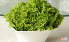生菜的营养价值 生菜的营养价值有哪些