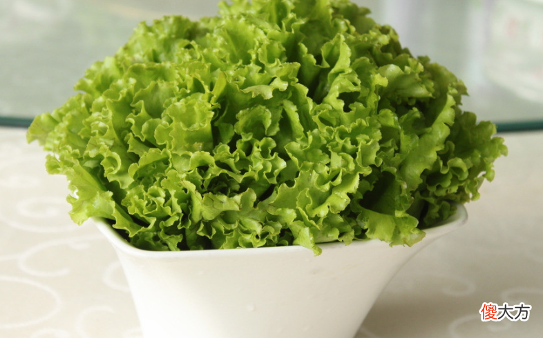 生菜的营养价值 生菜的营养价值有哪些