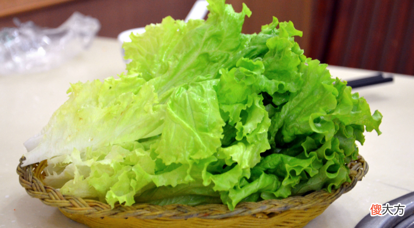 生菜的营养价值 生菜的营养价值有哪些