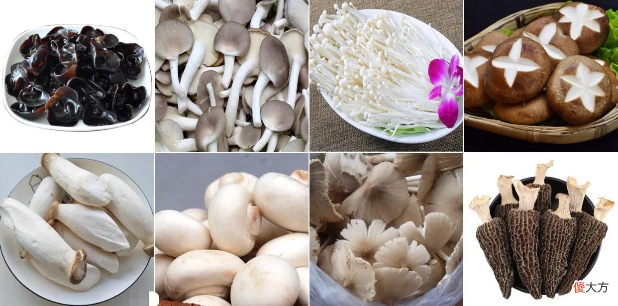 喜欢吃火锅的朋友们 我很喜欢吃火锅