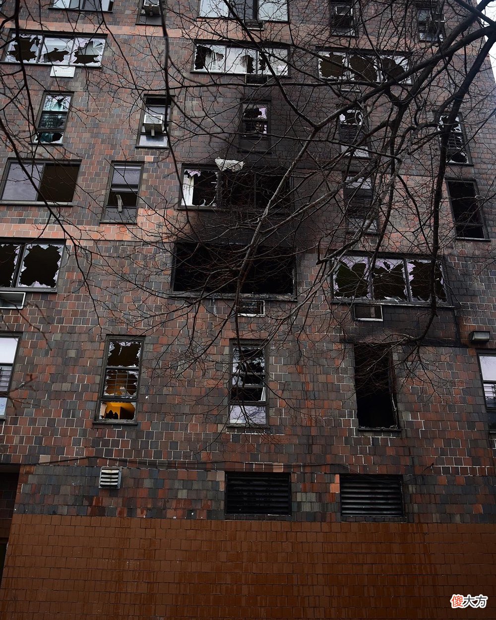 早安·世界｜纽约一住宅楼大火致19人死亡，包括9名儿童