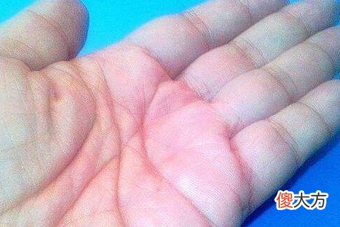 女生大富大贵的手相特点