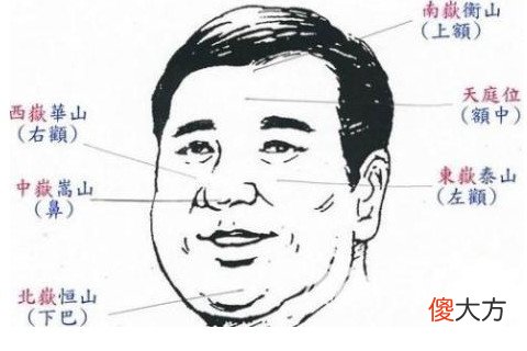 下眼白多的男人面相说明什么