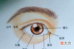 眼睛面相定一生富贵贫贱