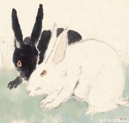 【星座控】12生肖中的谁，今年很少缺钱，遇到难题也有贵人相助