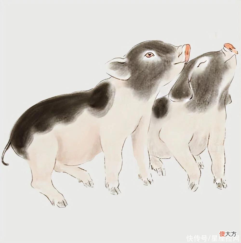 【十二星座】虎年衣食无忧，无债一身轻，无烦恼相伴的生肖，哪都好