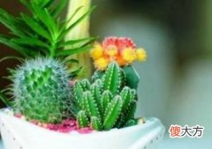居家餐桌物品摆放风水禁忌