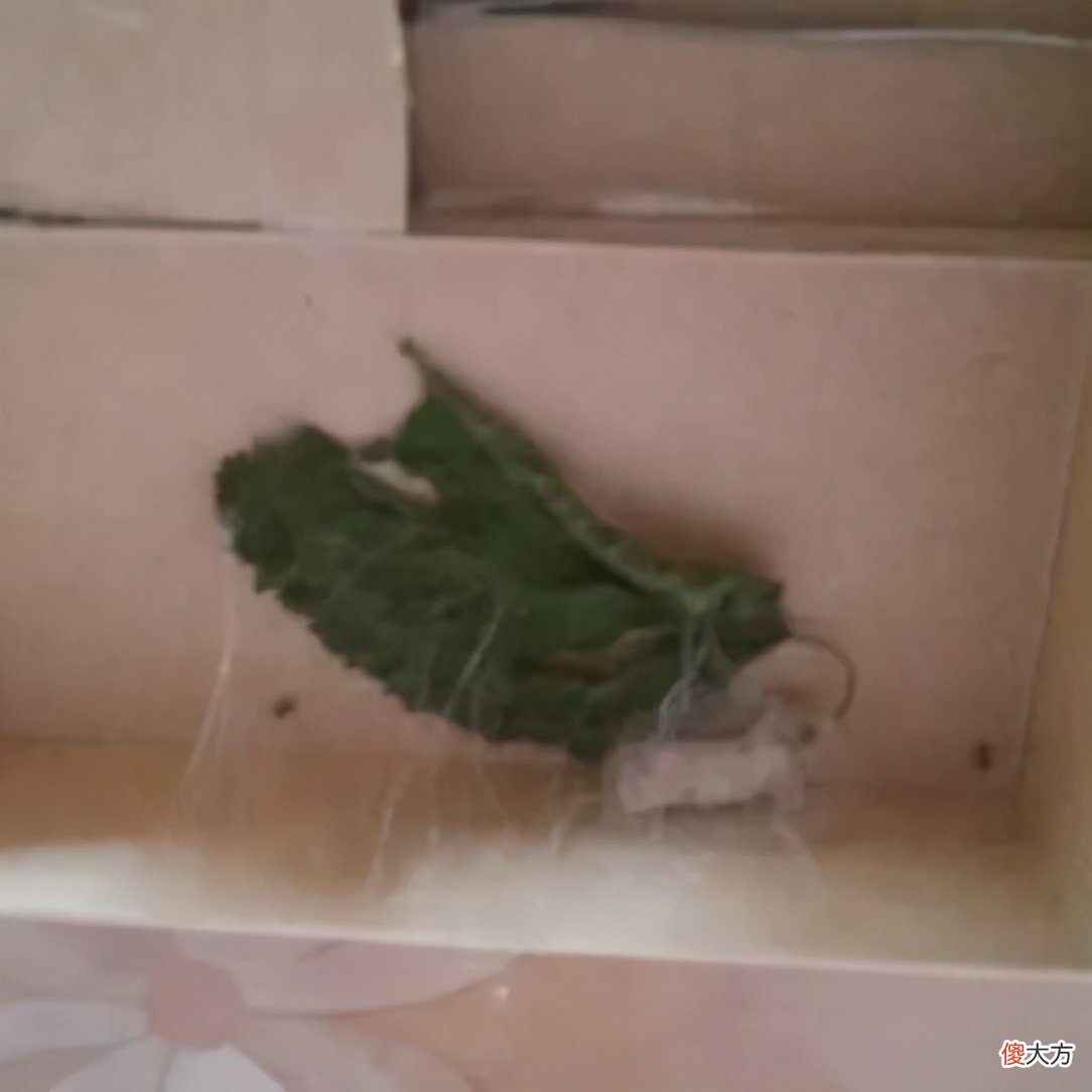 那就得养三次蚕 养蚕要养三年