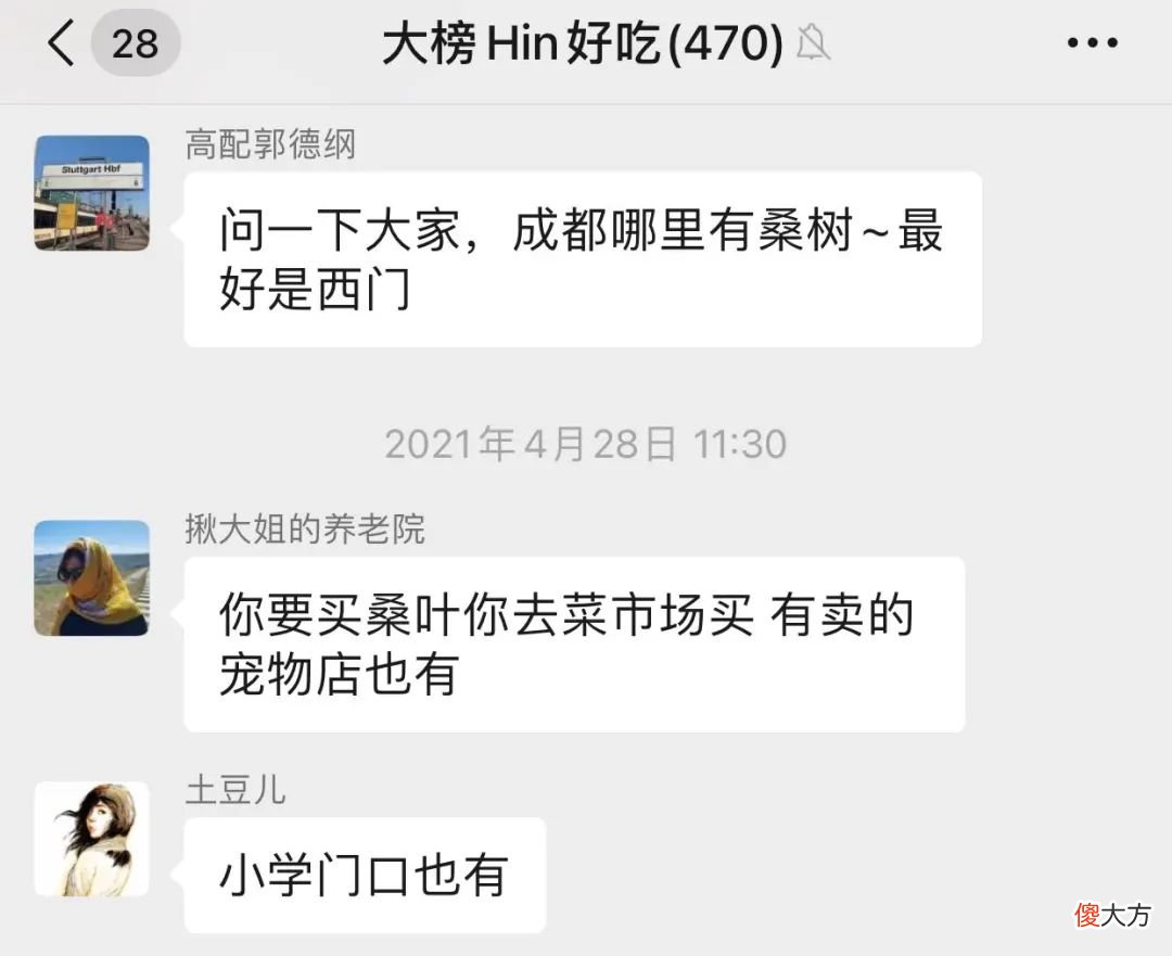 那就得养三次蚕 养蚕要养三年