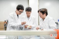 做领带的企业非要去养蚕宝宝，这是中国制造中国品牌必经之路？