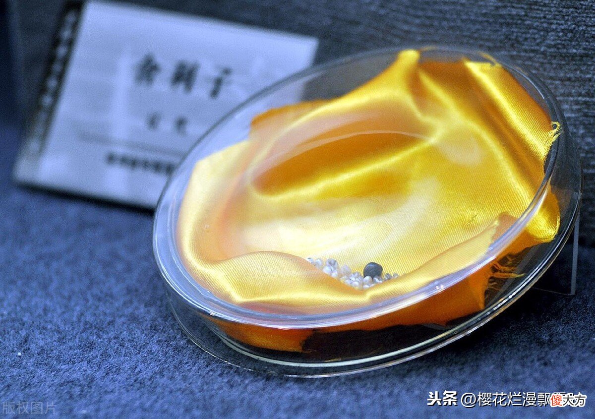 什么是舍利子 什么是舍利子和舍利花