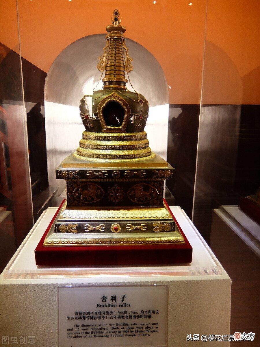 什么是舍利子 什么是舍利子和舍利花
