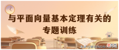 与平面向量基本定理有关的专题训练 关于平面向量基本定理的题目