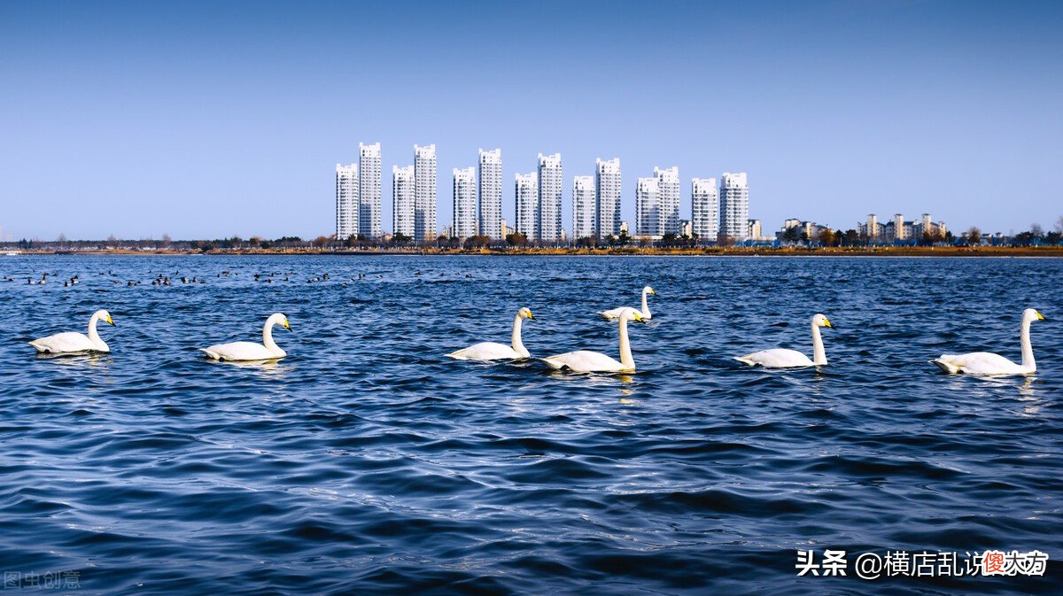 山东县级城市楼市的危机 山东房价跌幅最惨的城市