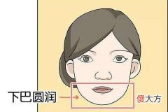 教你看女人圆下巴面相图解