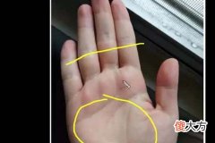 男生大富大贵的手相你有没有