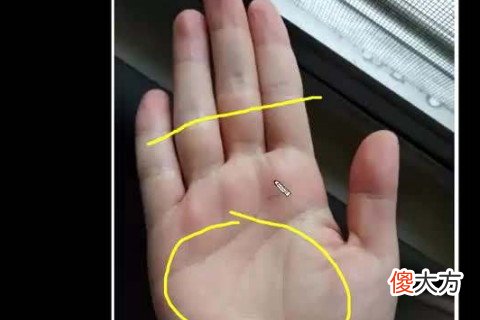 男生大富大贵的手相你有没有