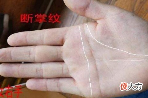 断掌纹的男人有何说法