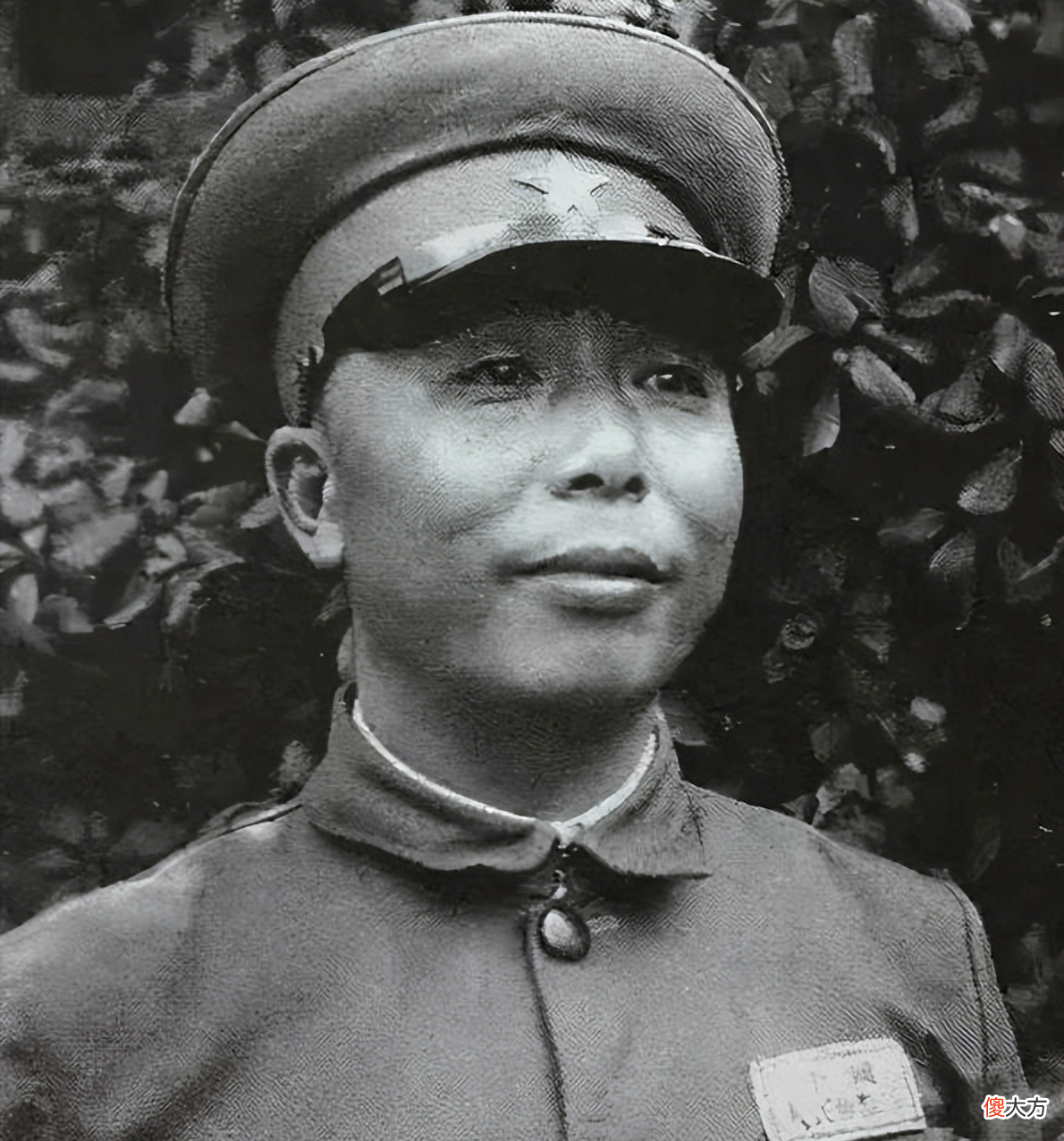 【爱历史】志愿军有6个兵团，司令员回国后多数获得晋升：这两人为何降职？
