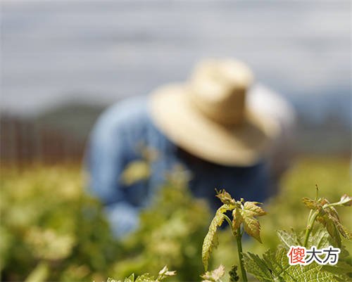 加盟红酒店怎么经营 加盟红酒店经营技巧
