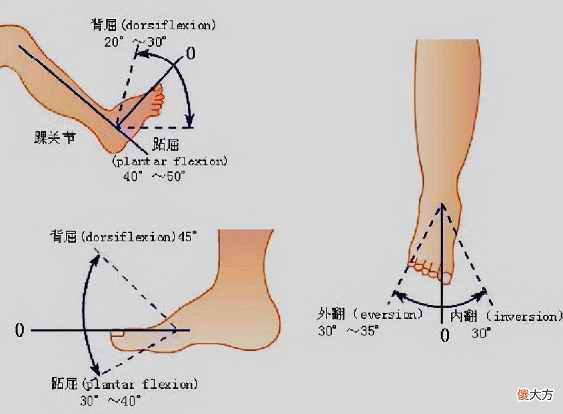 什么是主动关节活动度和被动关节活动度 主动关节活动度和被动关节活动度的关系