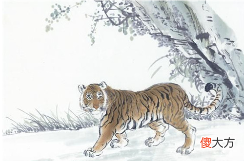 2010属虎的40岁以后命运如何