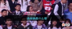 抖音| 潘周聃什么梗