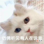 【时尚一点】漫说内务｜SOS.你的小心思被发现了！