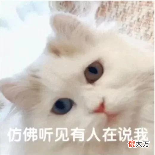 【时尚一点】漫说内务｜SOS.你的小心思被发现了！