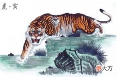 属虎人一生运势