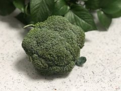 西兰花直接水洗等于吃虫卵 如何洗西兰花虫卵
