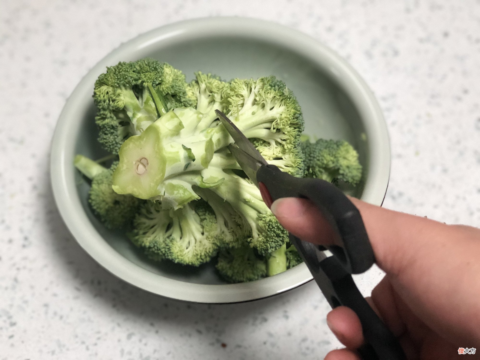 西兰花直接水洗等于吃虫卵 如何洗西兰花虫卵