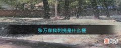 抖音| 张万森我刺挠是什么梗