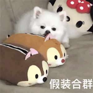 朋友圈是一条横线 朋友圈是一条横线加一点