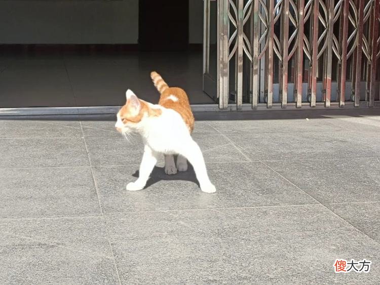 有人就不会拍照了 不会拍照的人