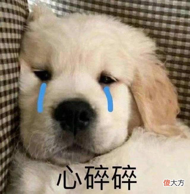 【游戏迷】EVE中，一座为车祸去世玩家树立了10年的纪念碑，正在被拆毁