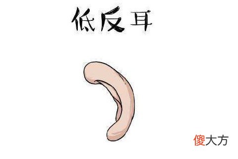 耳朵的大小看命好不好