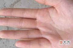 左手断掌纹的男人好不好