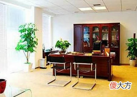 办公室风水布局如何早脱单