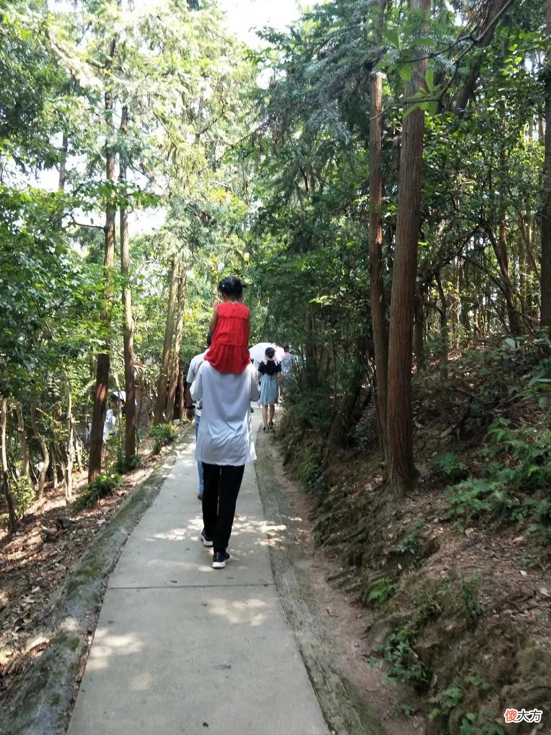 表姐的孩子考上清华了 考上清华大学的孩子妈妈