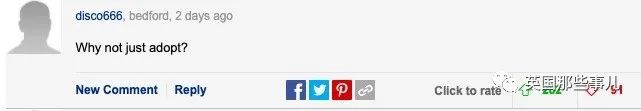 同性恋弟弟苦寻代孕母亲无果，42岁的姐姐亲自上阵帮他生了一个