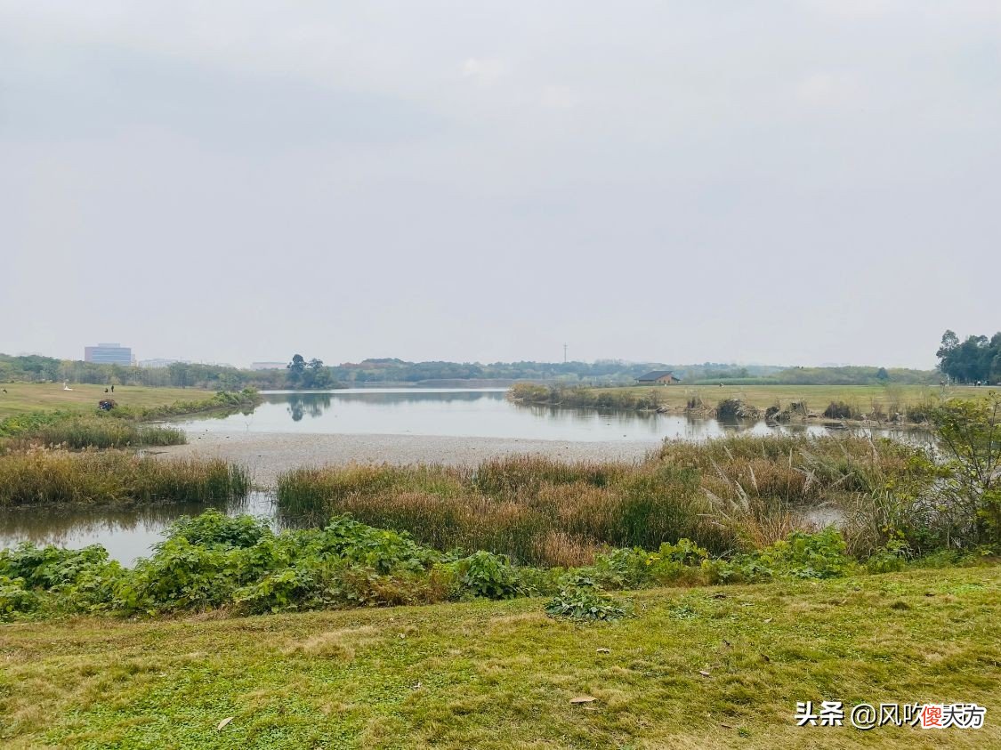 成都排名前5的公园 成都最火的公园