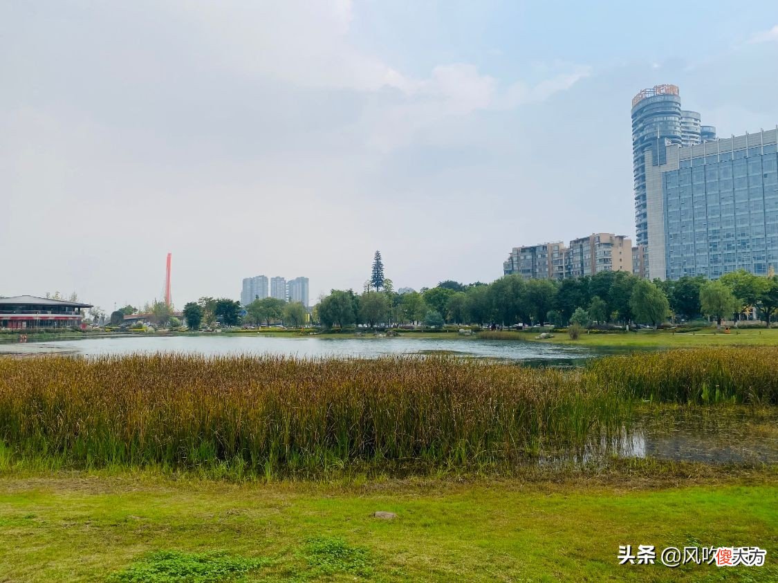 成都排名前5的公园 成都最火的公园