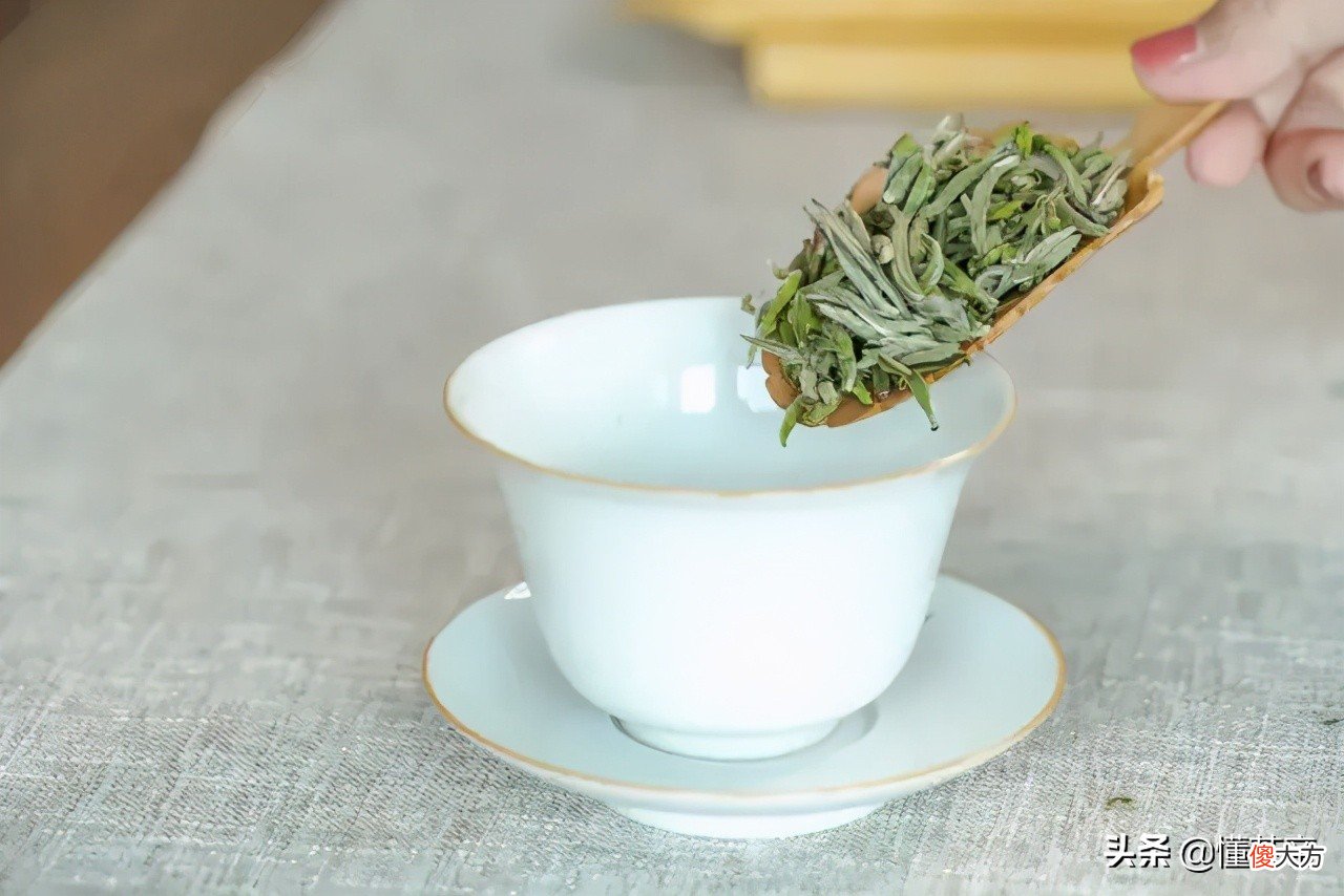 如何辨别白茶的好坏？学会这几招，一点也不难