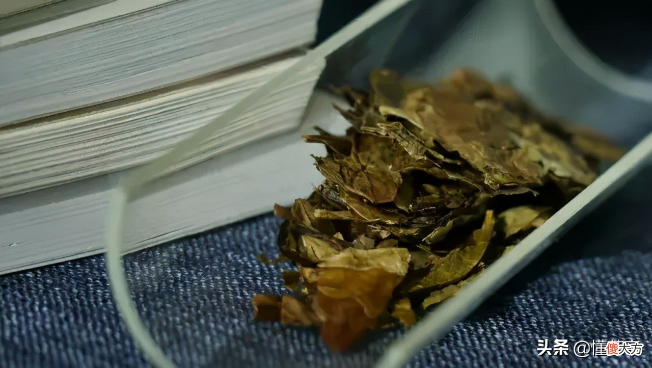 如何辨别白茶的好坏？学会这几招，一点也不难